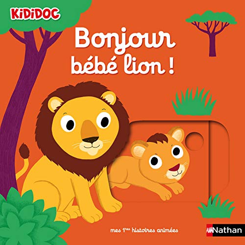 Bonjour bébé lion ! (Hardcover)