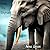 Frank The Elephant