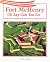 Fort Mchenry by Rigby