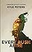 Every Bush Afire: Illuminate the Path to Friendship with God