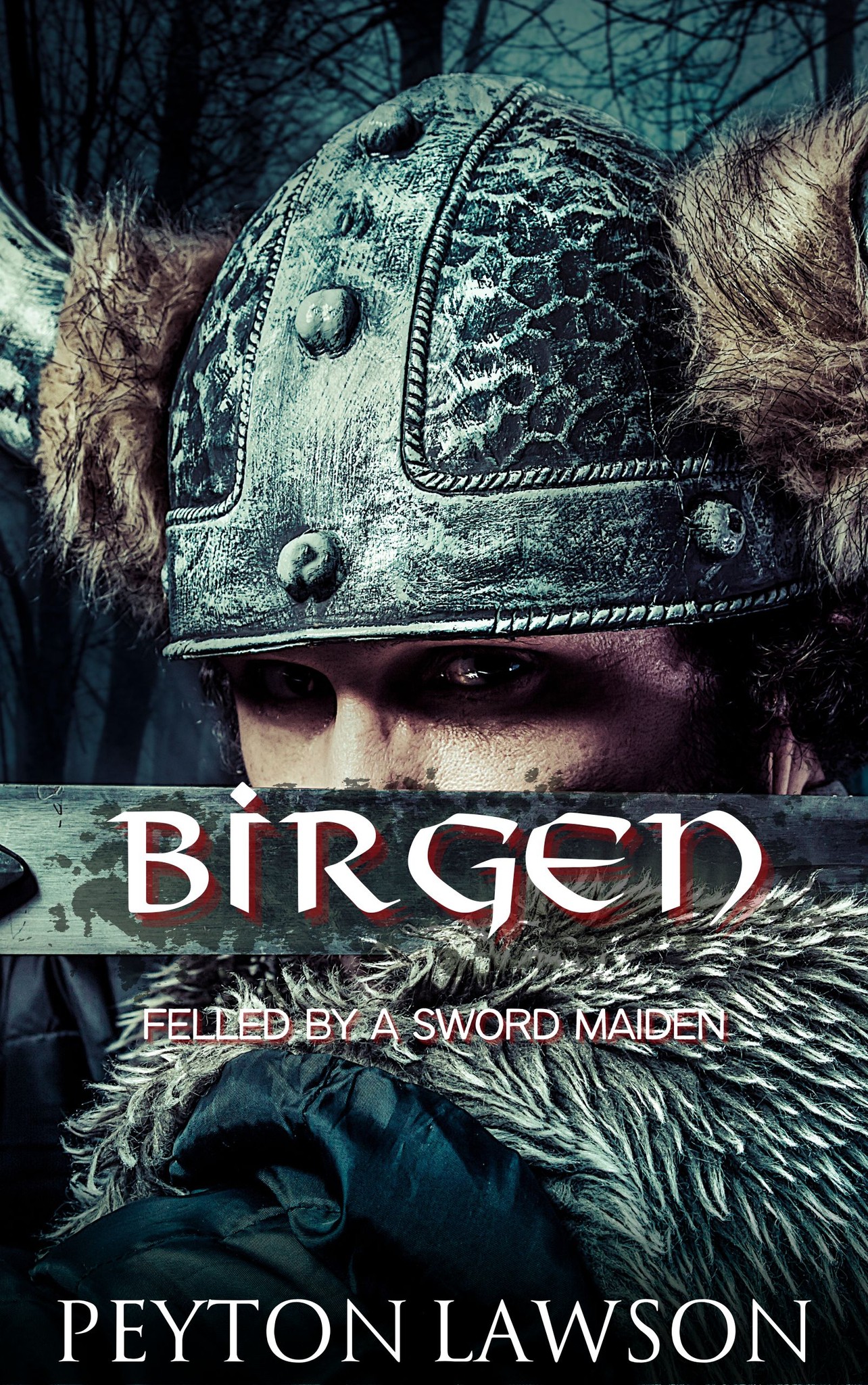 Birgen: Felled by a Sword Maiden (Hot Vikings #13; The Viking Settlers #3)