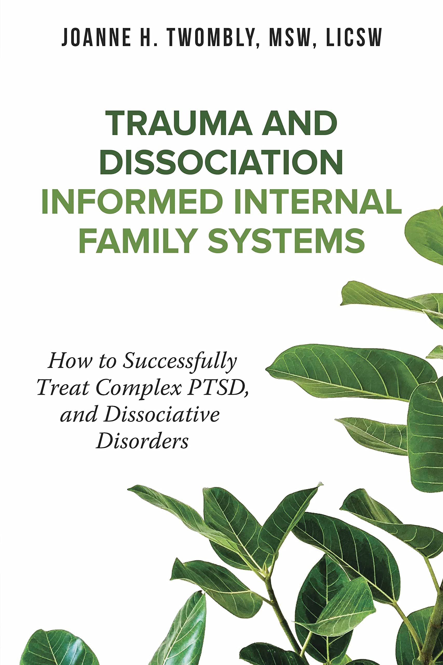 Trauma and Dissociation Informed Internal Family Systems: How to Successfully Treat C-PTSD, and Dissociative Disorders (Kindle Edition)
