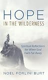Hope in the Wilderness