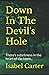 Down In The Devil's Hole: T...