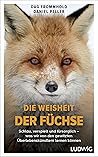 Die Weisheit der Füchse: Schlau, verspielt und fürsorglich – was wir von den gewitzten Überlebenskünstlern lernen können
