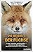 Die Weisheit der Füchse: Schlau, verspielt und fürsorglich – was wir von den gewitzten Überlebenskünstlern lernen können