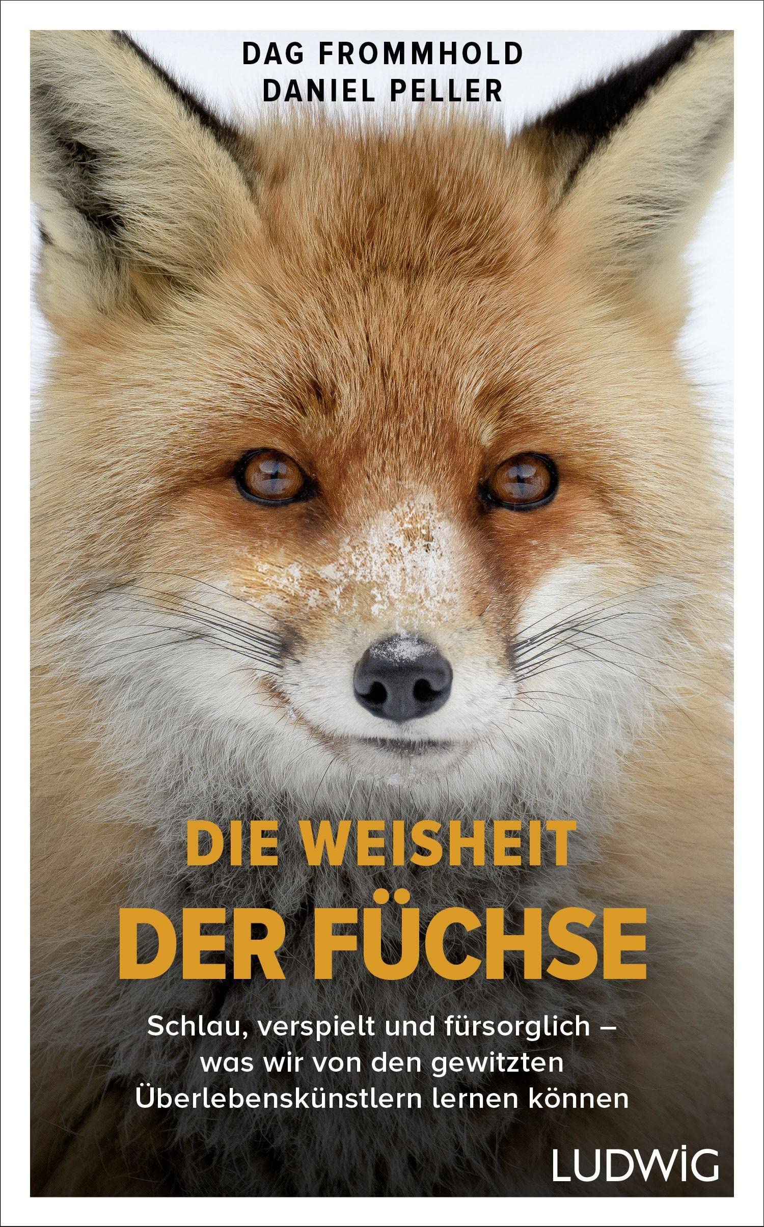 Die Weisheit der Füchse: Schlau, verspielt und fürsorglich – was wir von den gewitzten Überlebenskünstlern lernen können (Hardcover)