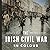 The Irish Civil War in Colour