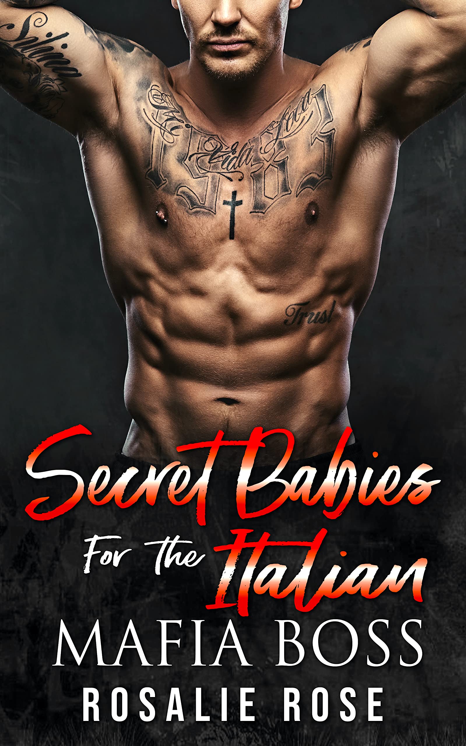 Secret Babies for the Italian Mafia Boss (Possessive Mafia Kings, #5)
