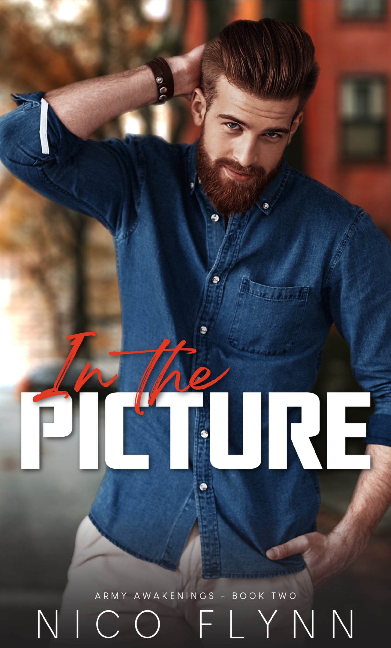 In the Picture (Kindle Edition)
