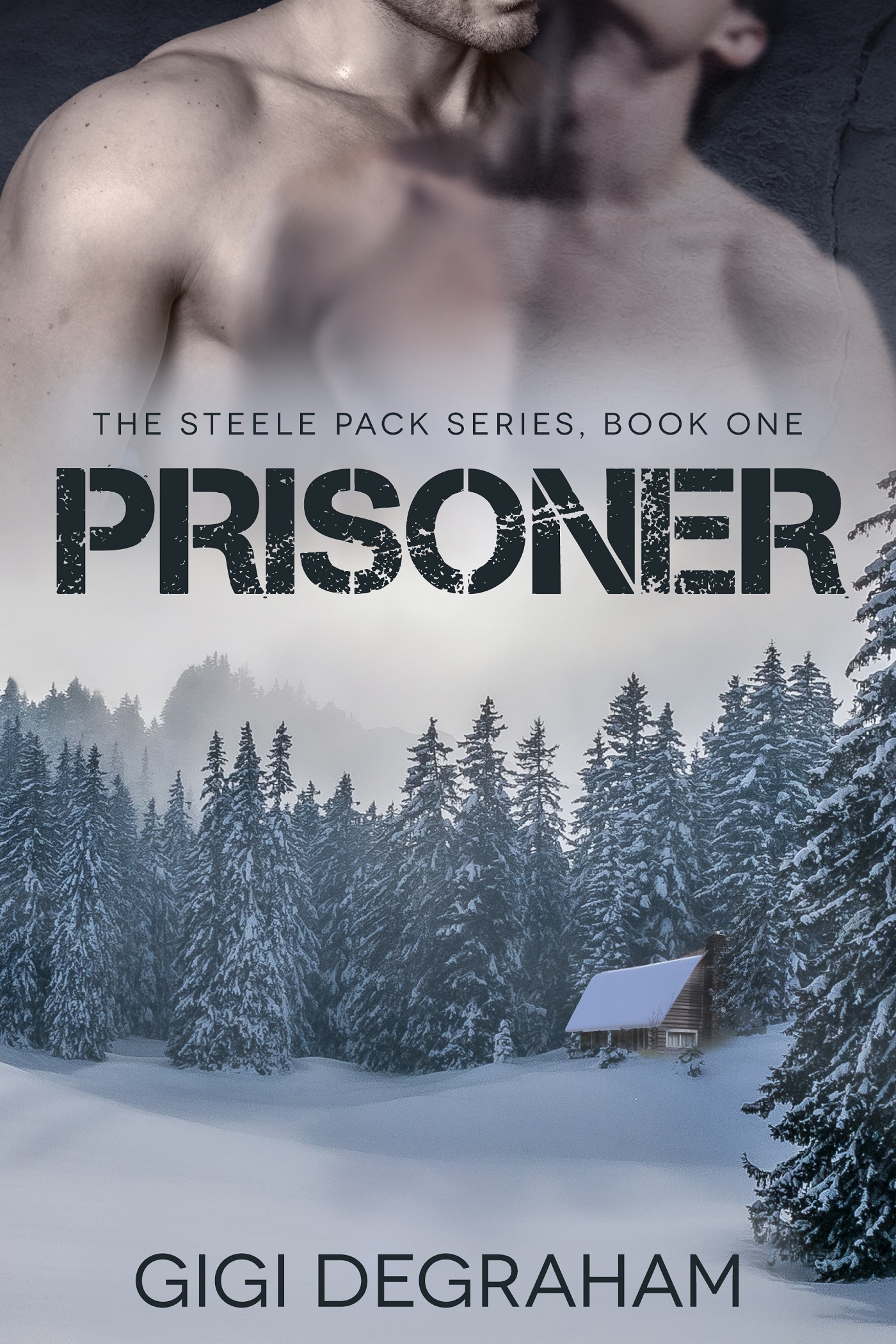 Prisoner (ebook)