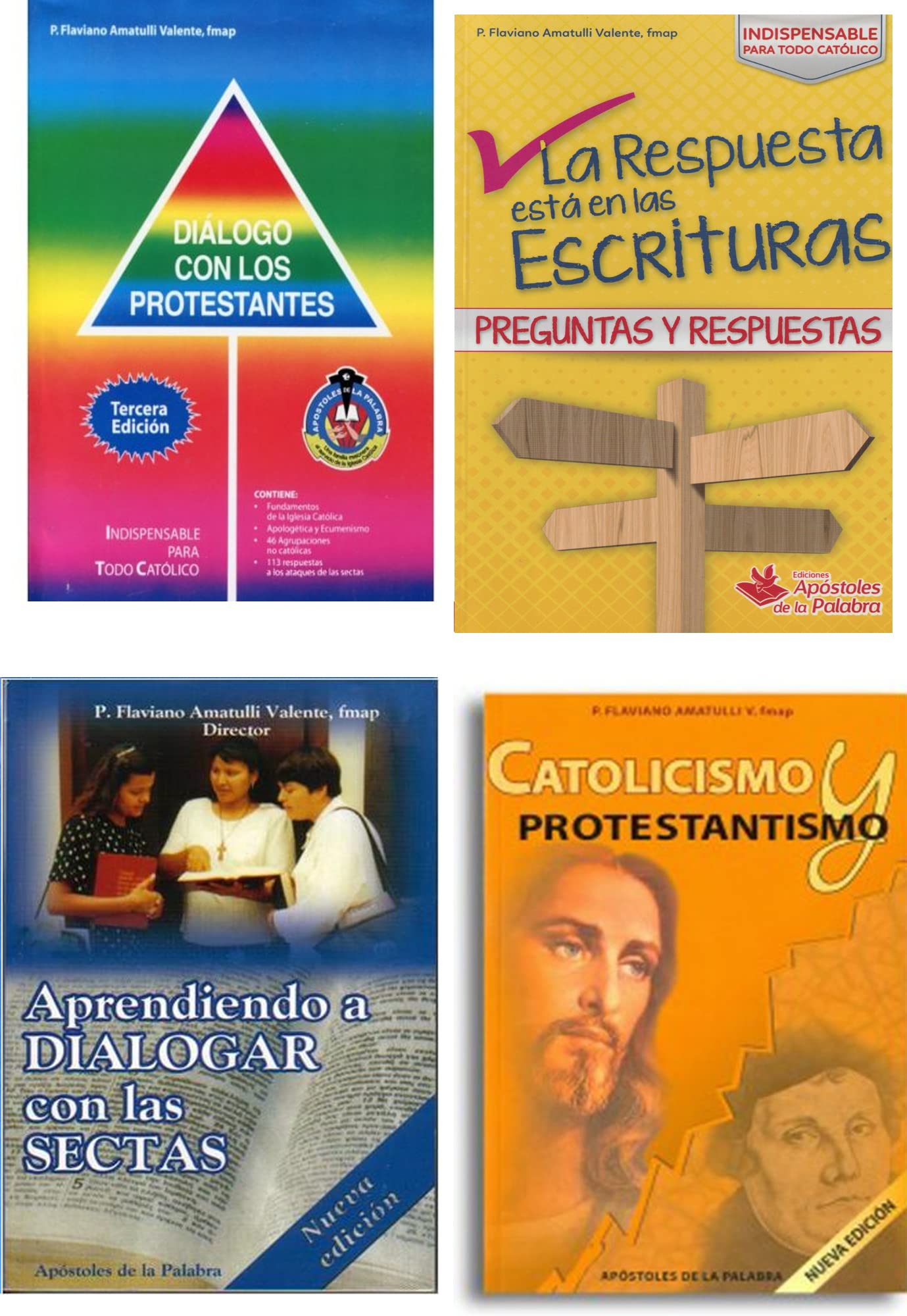 Paquete Sepas Defender Flaviano Amatulli (Paperback)