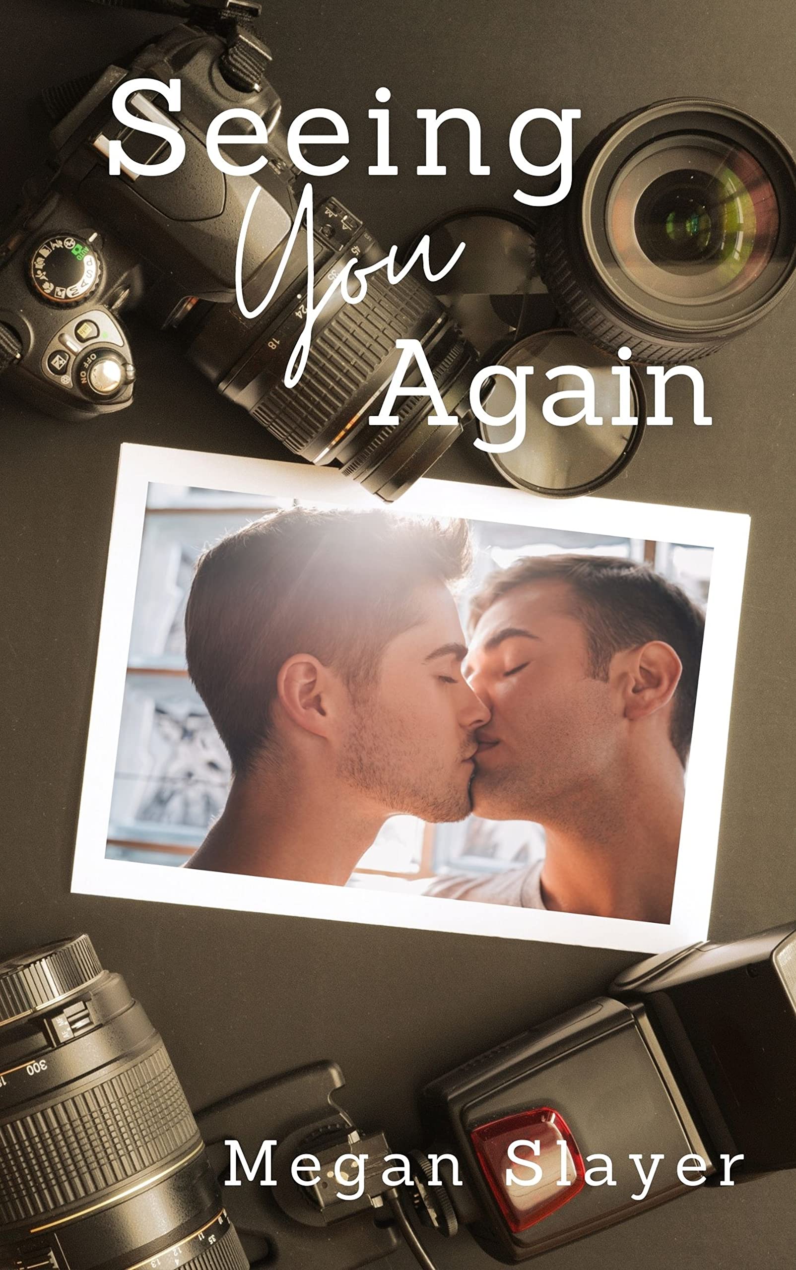Seeing You Again (Picture This Book 3)