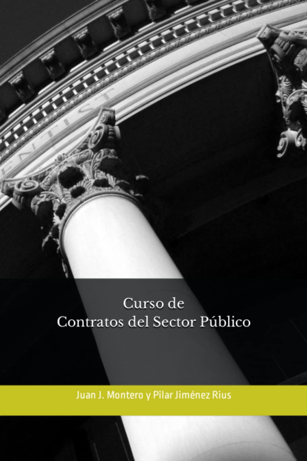 Curso de Contratos del Sector Público (Spanish Edition)