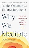 Why We Meditate: ...