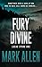 Fury Divine: A Lucas Stone ...