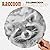 Raccoon Spiroglyphics Color...