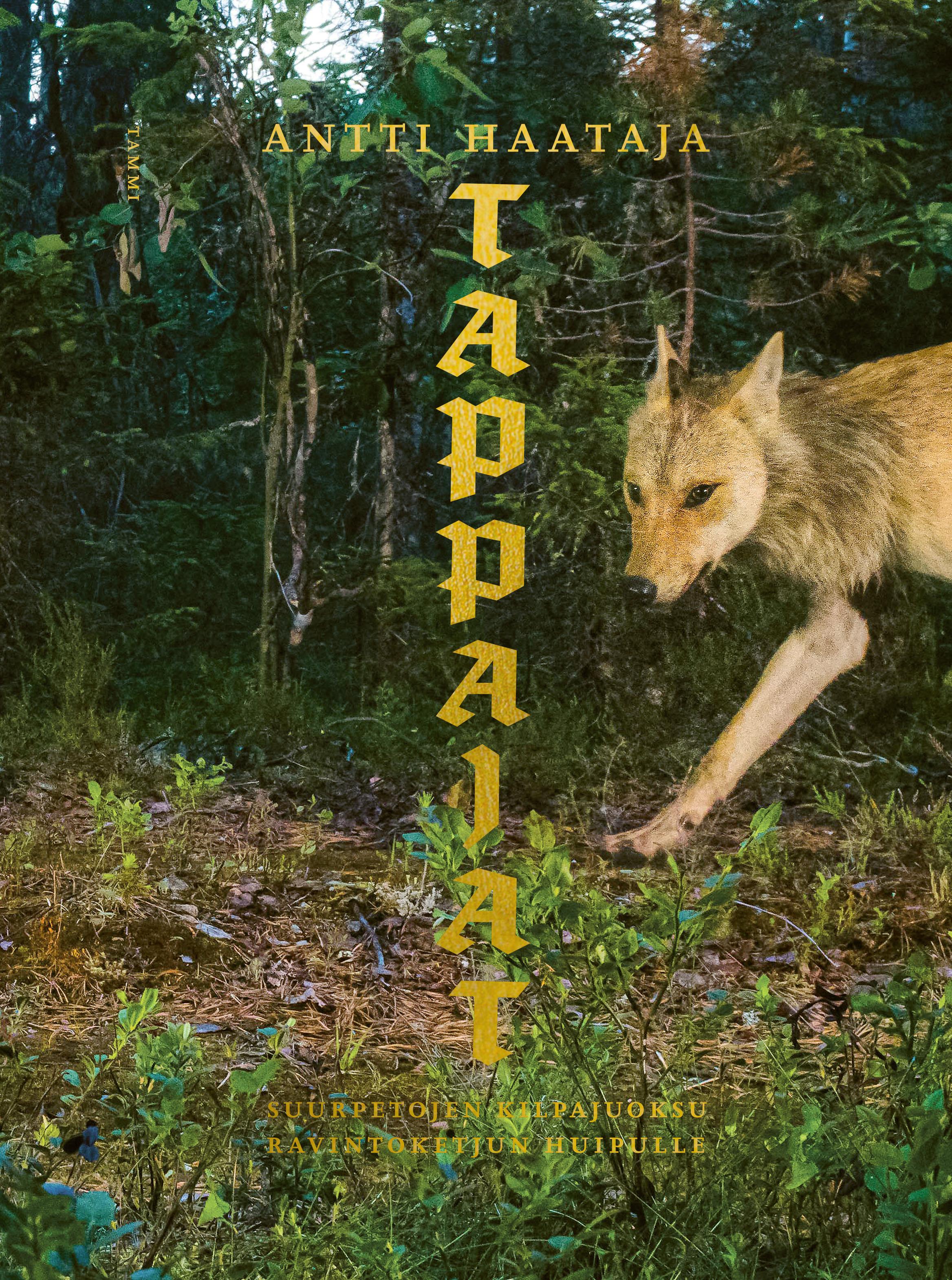 Tappajat: Suurpetojen kilpajuoksu ravintoketjun huipulle (Hardcover)