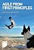 Agile From First Principles