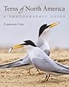 Terns of North Am...