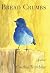 Bread Crumbs by Cynthia Tremblay