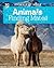 Animals Finding Mates