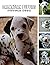 Dalmatian Puppies Picture B...
