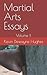 Martial Arts Essays: Volume II