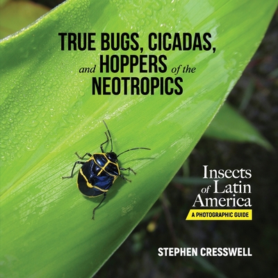 True Bugs, Cicadas, and Hoppers of the Neotropics