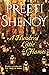 A Hundred Little Flames by Preeti Shenoy