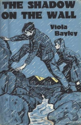 The Shadow on the Wall (Hardcover)