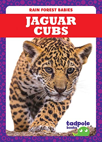Jaguar Cubs (Tadpole Books: Rain Forest Babies)