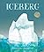 Iceberg