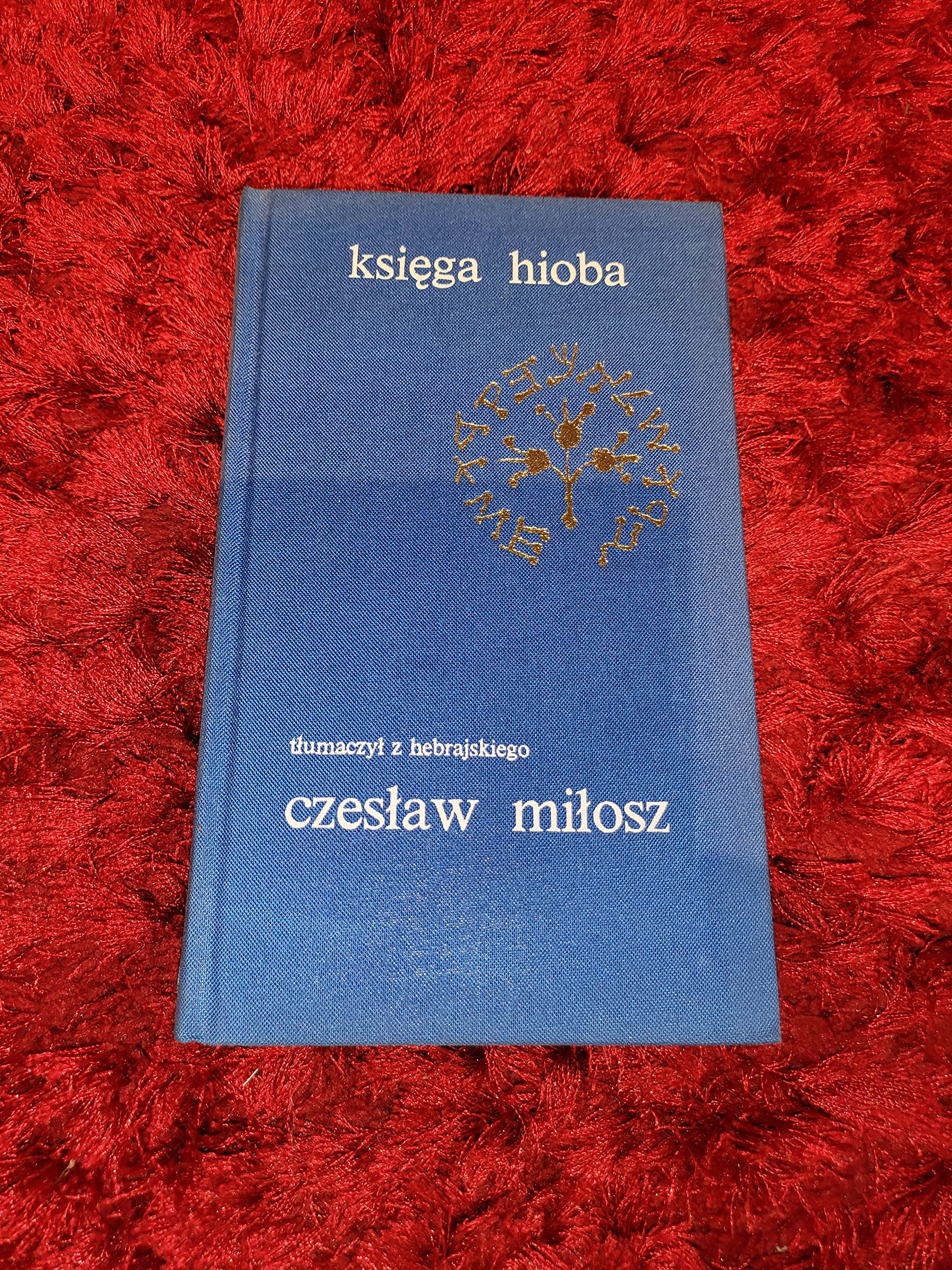Księga Hioba [Ksiega Hioba] (Paperback)