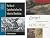 Critical Issues in World and International History by Richard Grassby