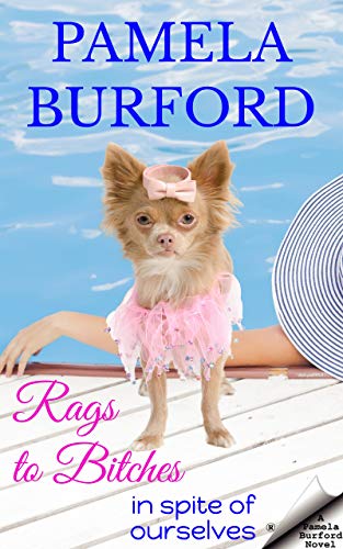 Rags to Bitches (Kindle Edition)