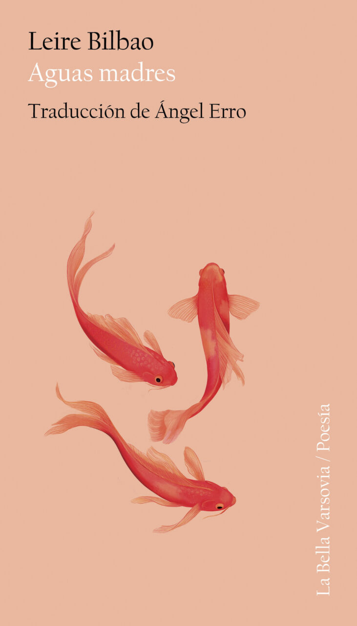 Aguas madres (Paperback)