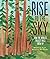 Rise to the Sky: How the World's Tallest Trees Grow Up