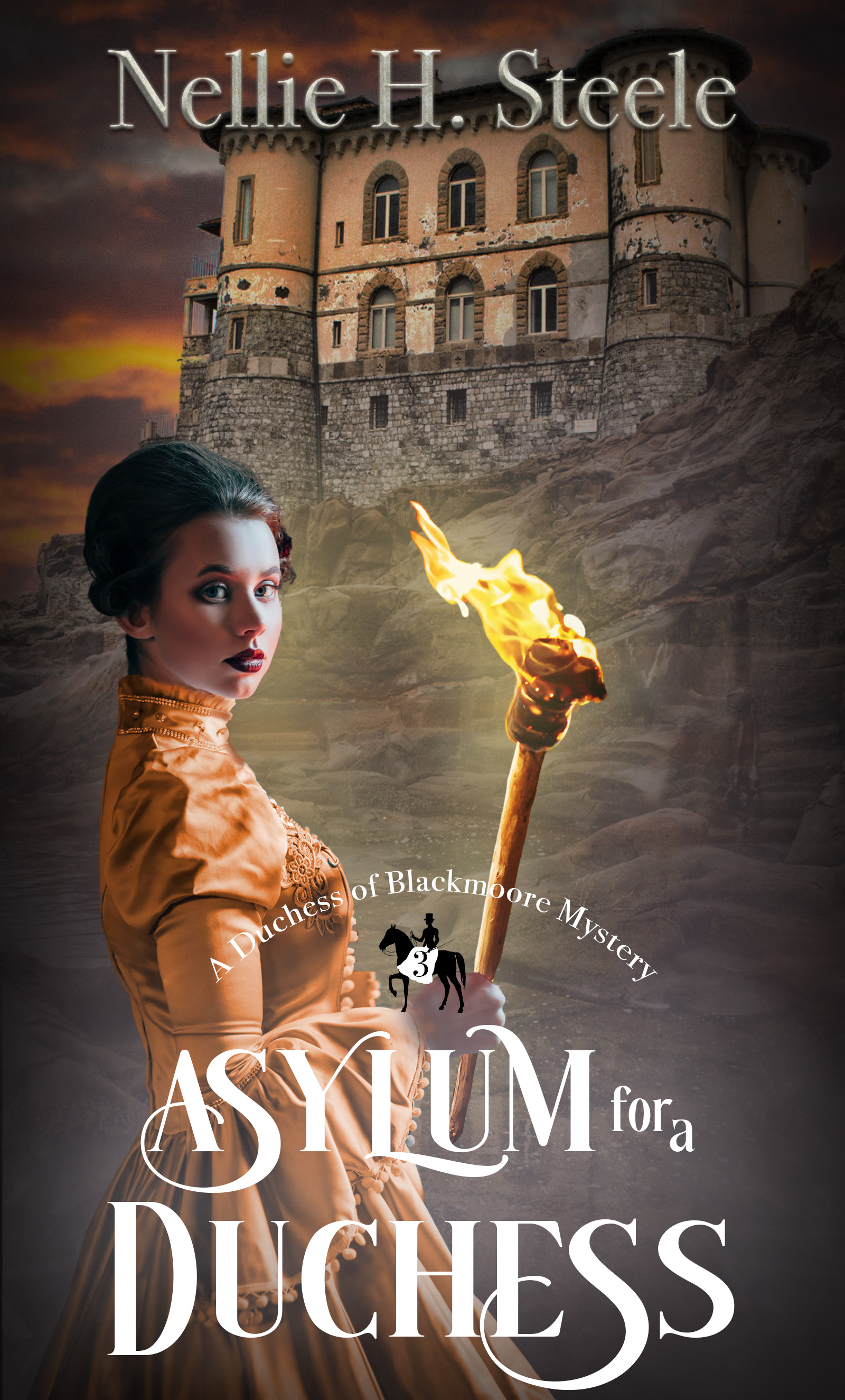 Asylum for a Duchess (Duchess of Blackmoore Mysteries #3)