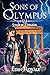 Storm Chaser (Sons of Olympus, #1)