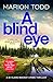 A Blind Eye (D.I. Clare Mac...