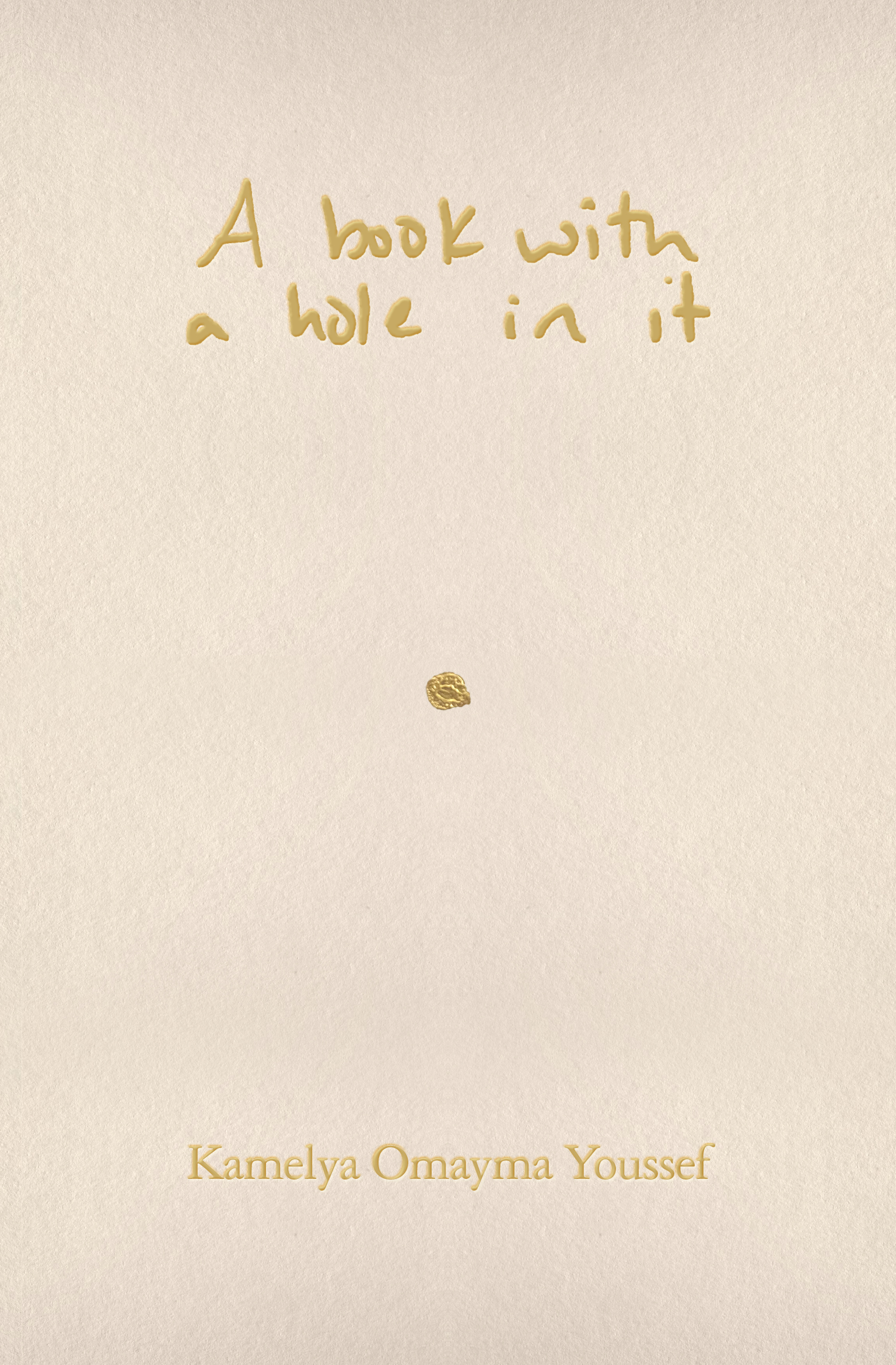 A book with a hole in it (Paperback)