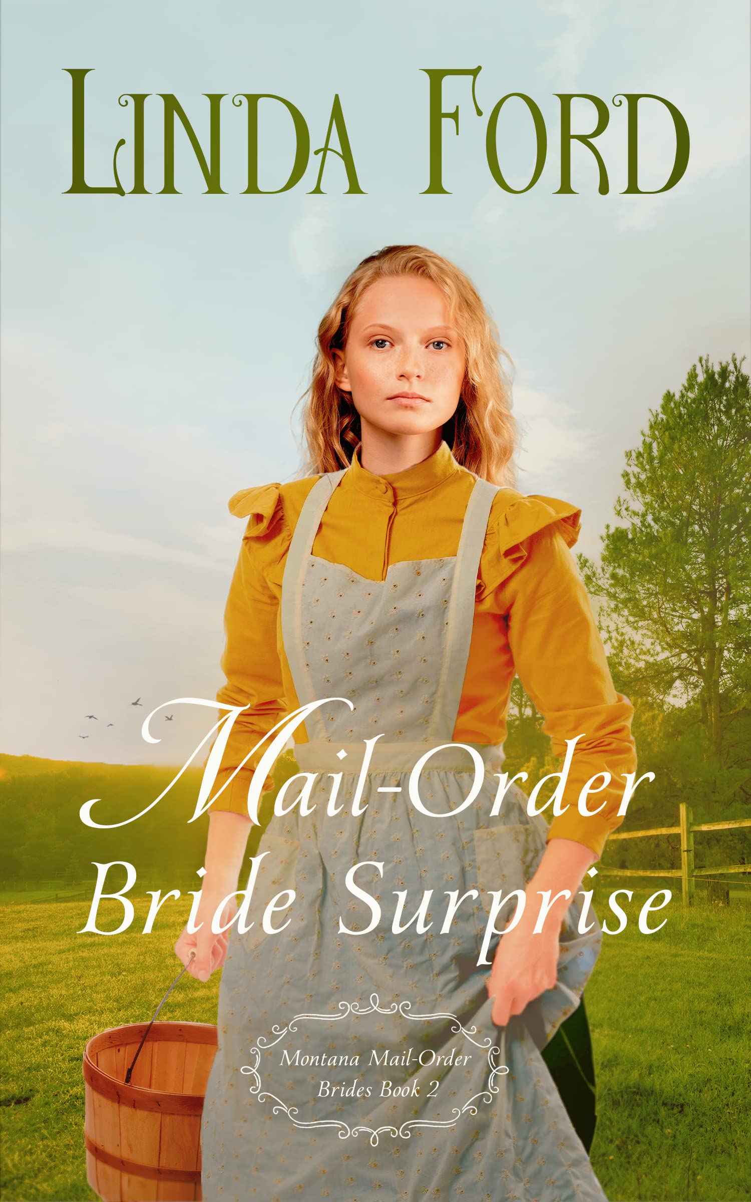 Mail-Order Bride Surprise (Montana Mail-Order Brides, #2)