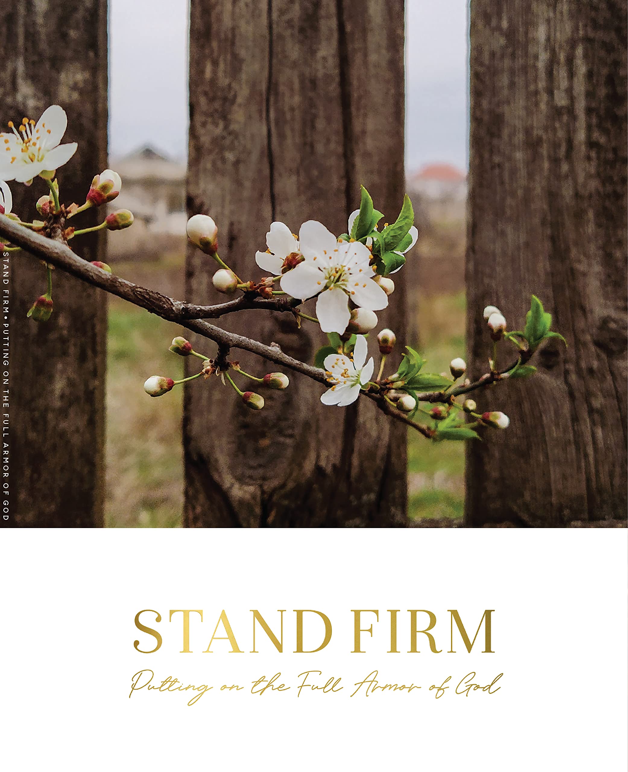 Stand Firm: Putting on the Full Armor of God (Paperback)