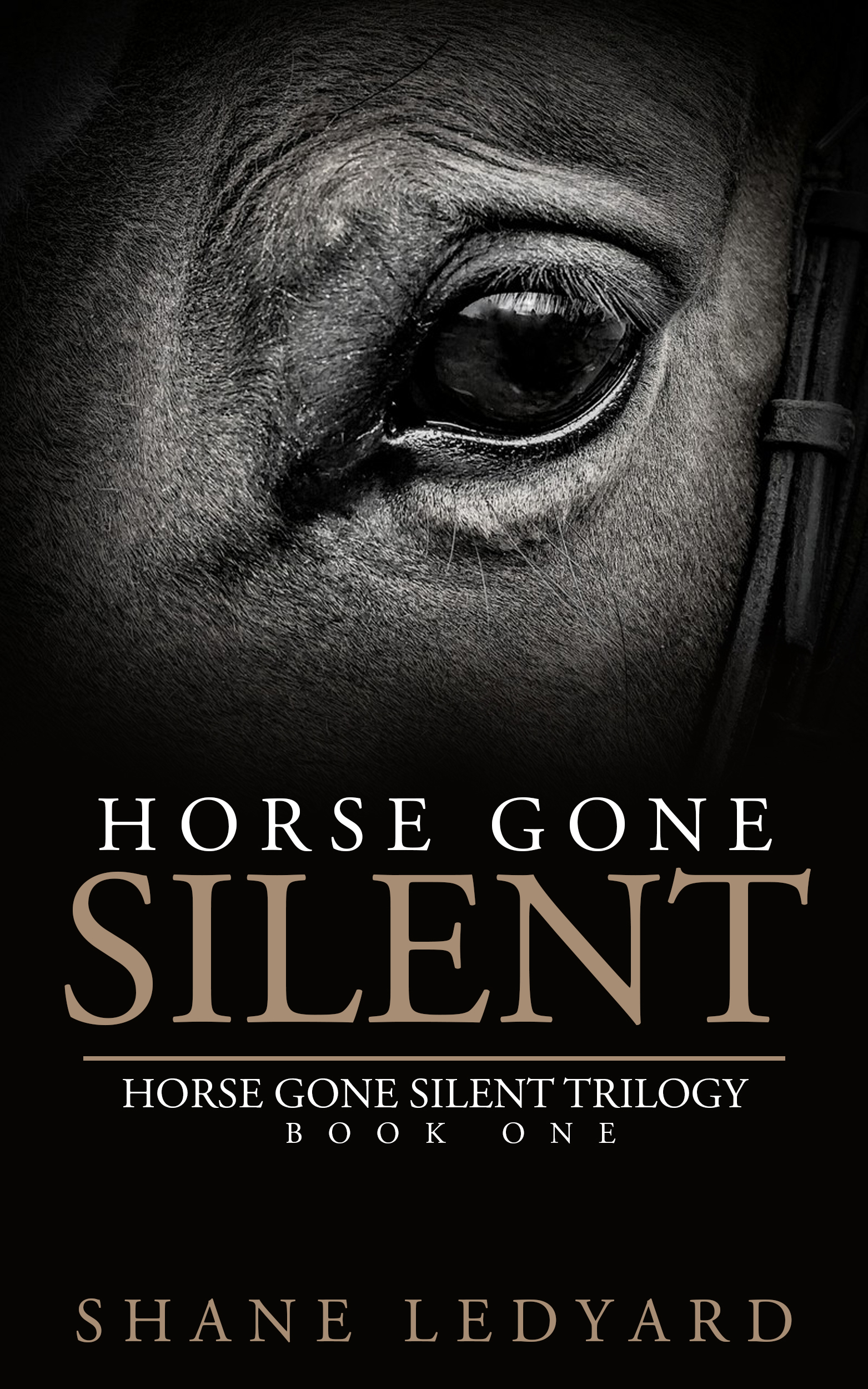 Horse Gone Silent (Horse Gone Silent Trilogy, #1)