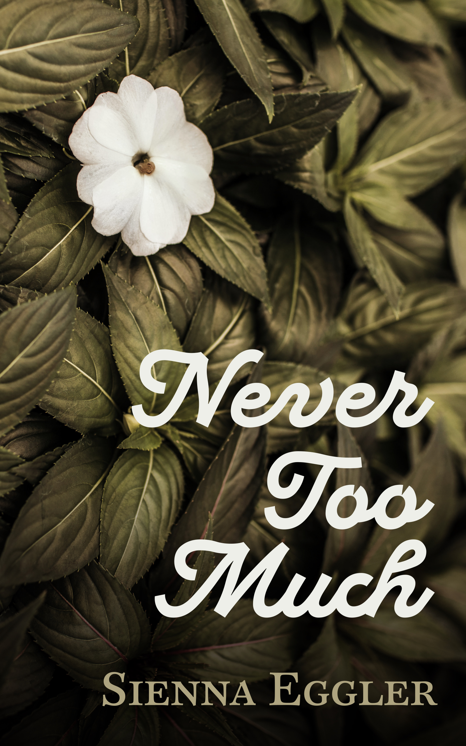 Never Too Much (Kindle Edition)