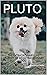 PLUTO: THE EXTRAORDINARY LI...