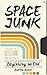 Space Junk: Beginning no End