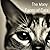 The Many Faces of Cats: A C...