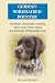 German Wirehaired Pointer